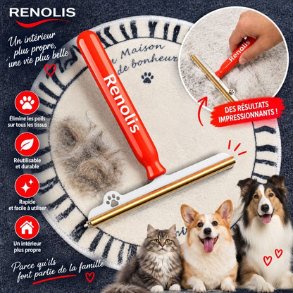 Renolis– Brosse Anti-Poils Réutilisable pour Tapis, Canapés et Voiture