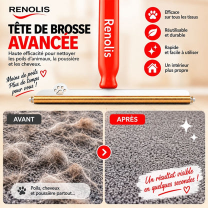 Renolis– Brosse Anti-Poils Réutilisable pour Tapis, Canapés et Voiture