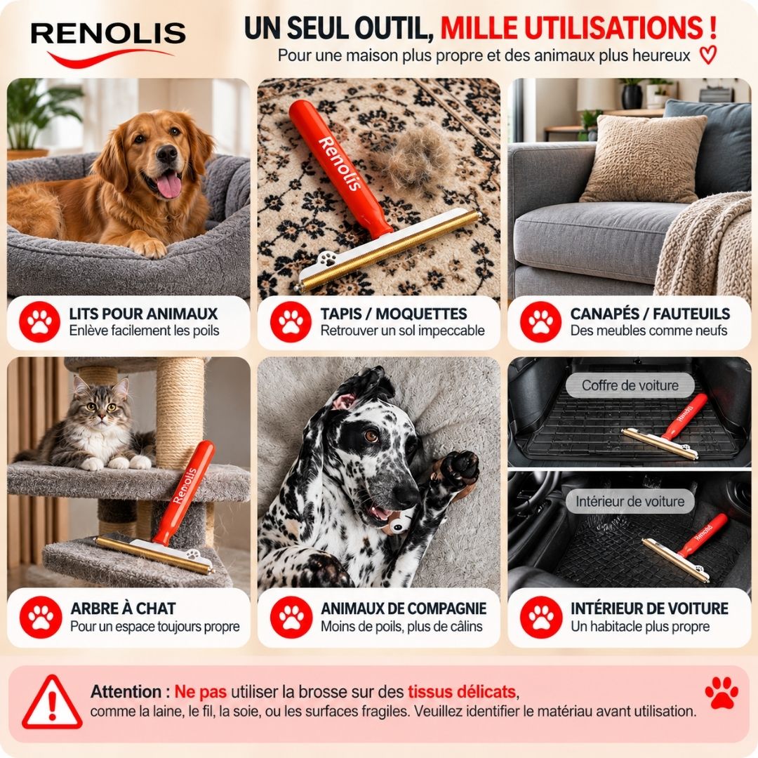 Renolis– Brosse Anti-Poils Réutilisable pour Tapis, Canapés et Voiture