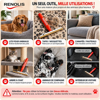 Renolis– Brosse Anti-Poils Réutilisable pour Tapis, Canapés et Voiture