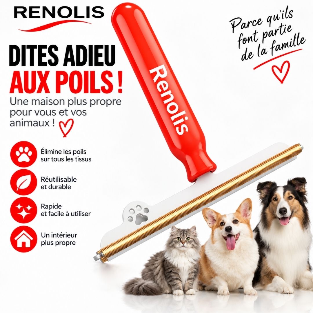 Renolis– Brosse Anti-Poils Réutilisable pour Tapis, Canapés et Voiture