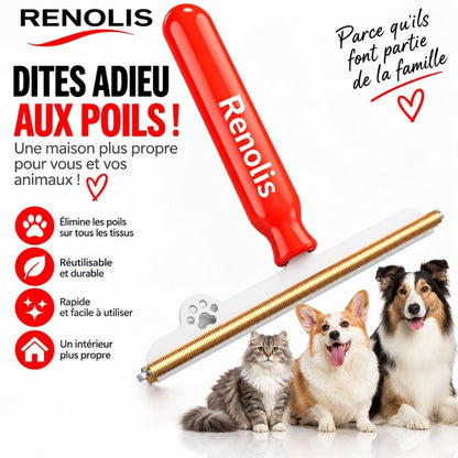 Renolis– Brosse Anti-Poils Réutilisable pour Tapis, Canapés et Voiture